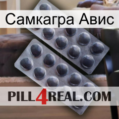 Самкагра Авис 31